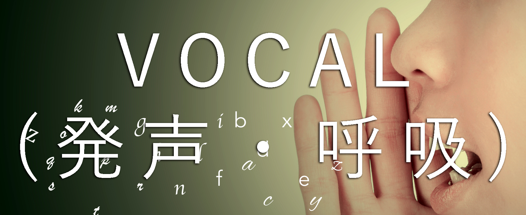 vocallesson